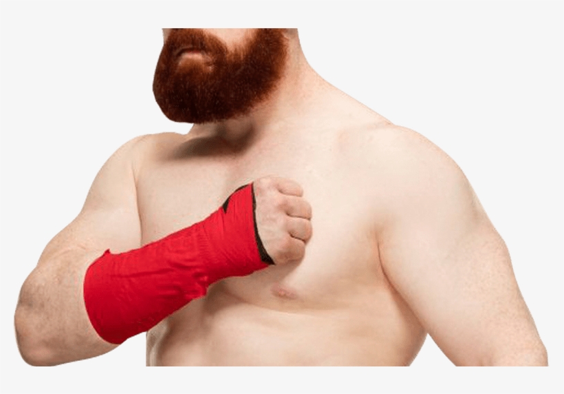 Sheamus Png Pic Png Mart - Sheamus, transparent png