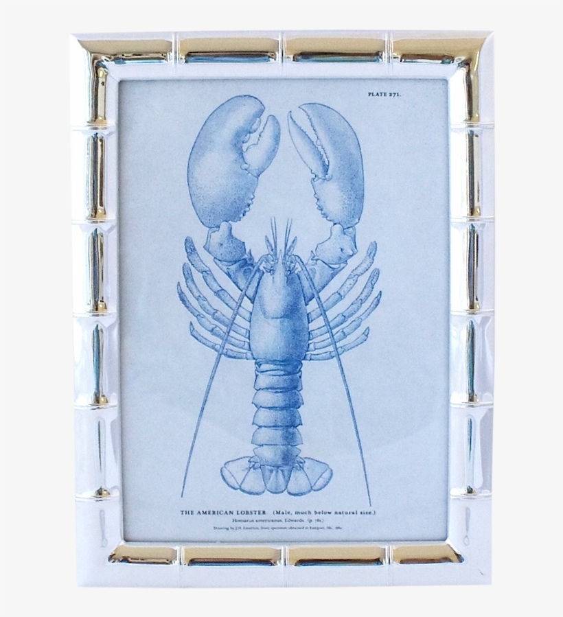 Plantation Bamboo Frame - Red American Lobster Oval Ornament, transparent png