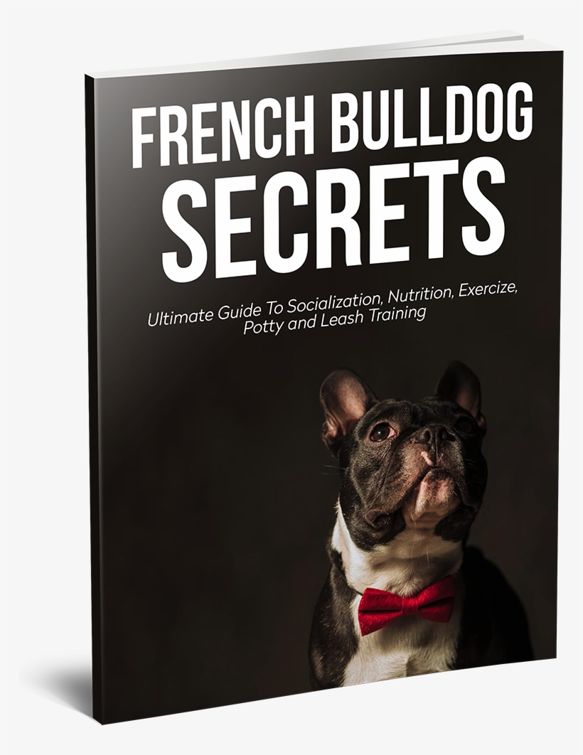 **e-book Available Now** This Guide Was Written By - French Bulldog Secrets, transparent png