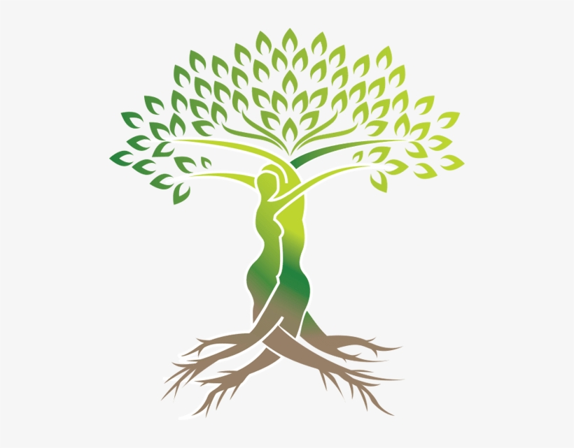 Tree Of Life Png, transparent png