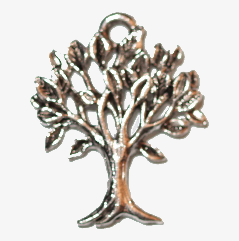 Tree Of Life - Oak, transparent png