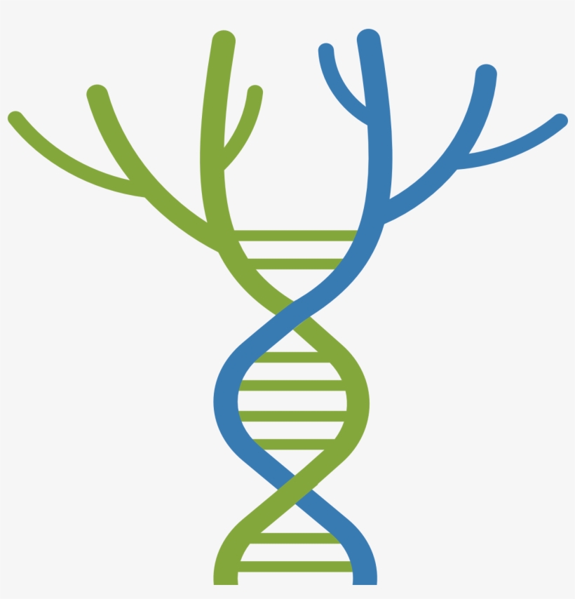 Ctf Tree Of Life - Companies That Mimic Life: Leaders Of The Emerging, transparent png