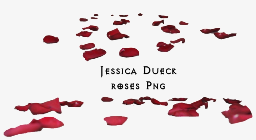 Flower Petals Falling Png - Rose Petals On Floor Png, transparent png