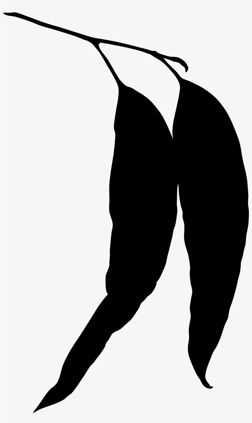 This Free Icons Png Design Of Eucalyptus Leaves Silhouette, transparent png