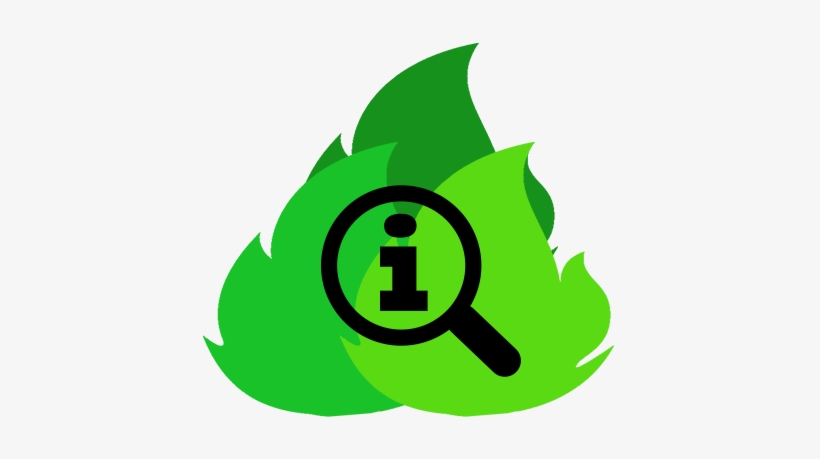 Devine Hq - Facebook, transparent png