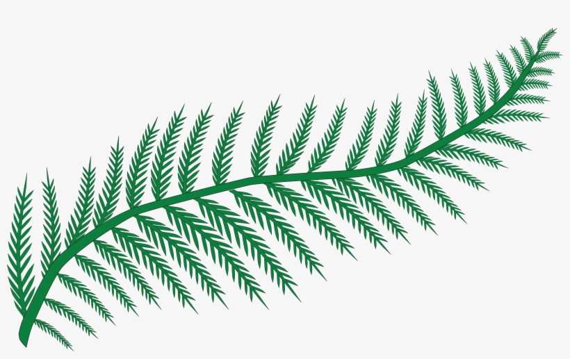 Free Clipart Of A Fern - Fern Clipart, transparent png