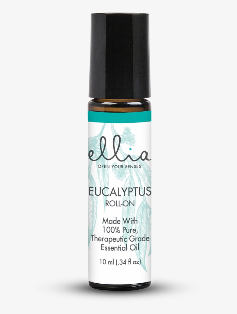 Eucalyptus Essential Oil - Essential Oil, transparent png