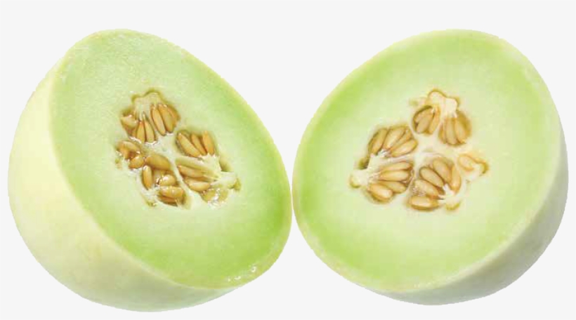 Type - Honeydew - Honeydew, transparent png