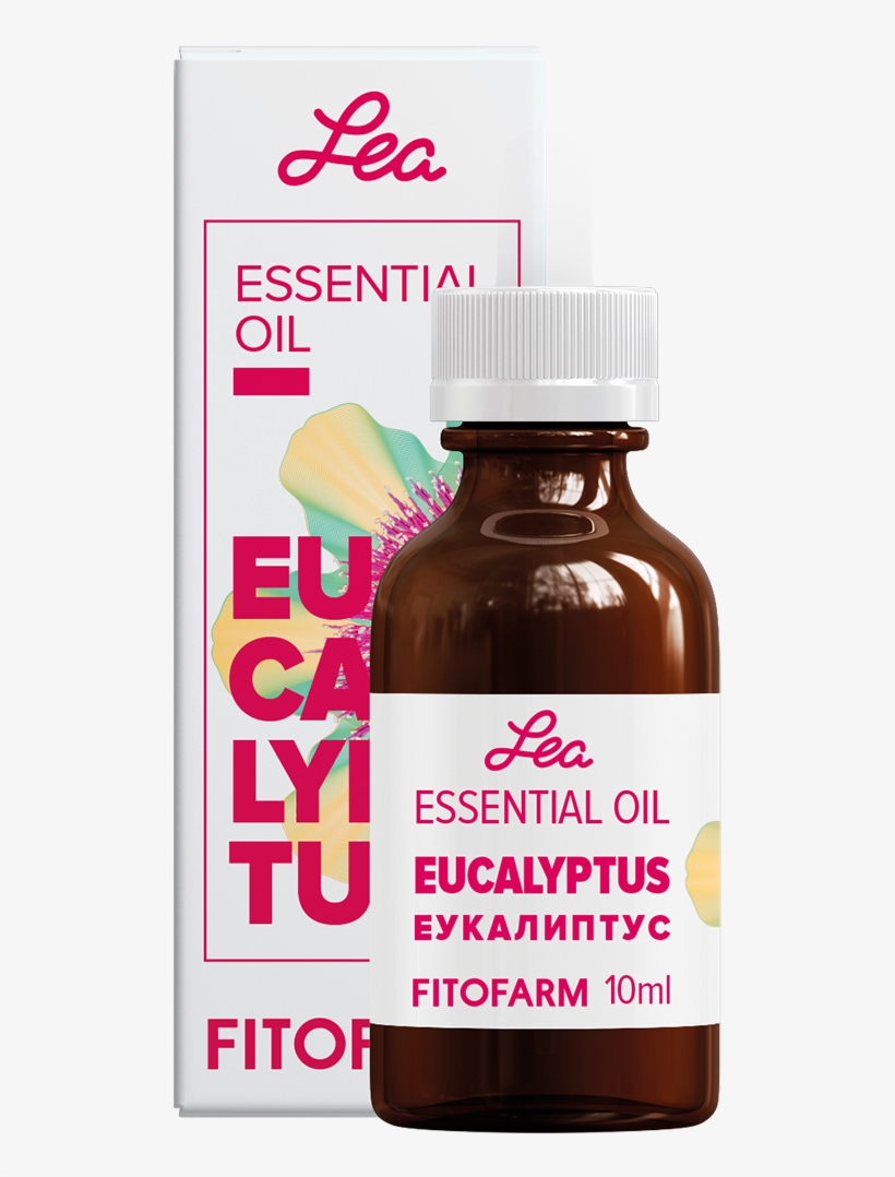 Eucalyptus Essential Oil Eucalyptus Globulus - Barbary Fig Seed Oil (prickly Pear Seed Oil , Cactus, transparent png