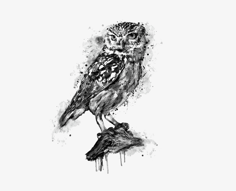 Bleed Area May Not Be Visible - Black And White Owl Painting, transparent png