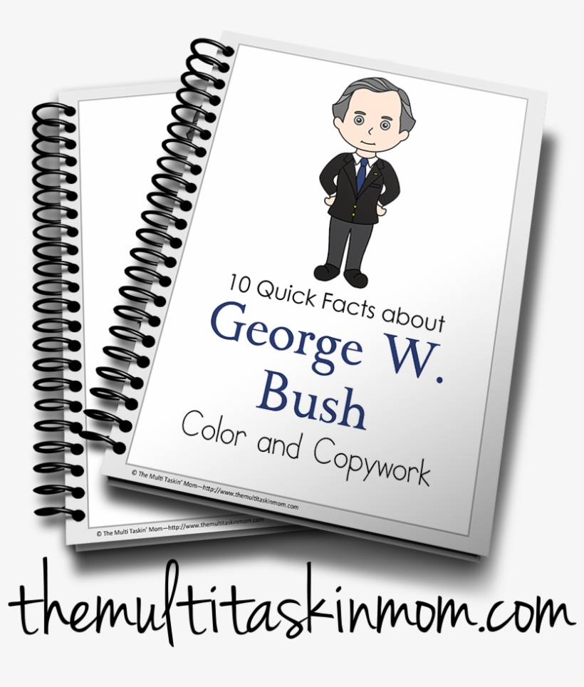 Bush - Income Tax School Certificate, transparent png