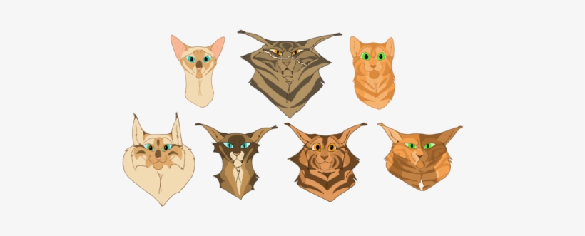 After I Redid My Tawnypelt Design I Really Decided - Cat, transparent png