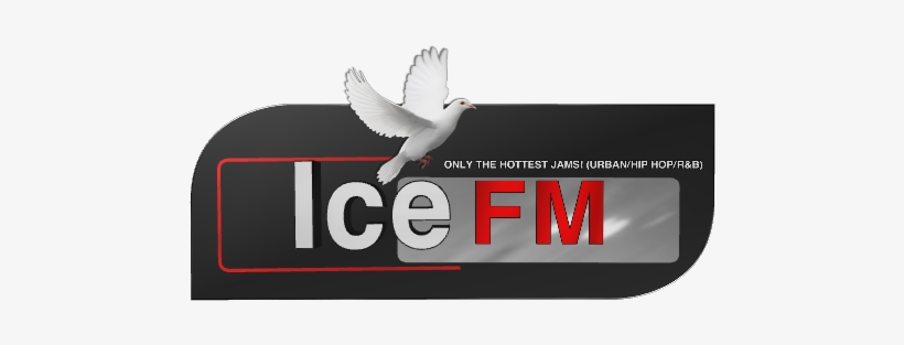 Home - White Dove, transparent png