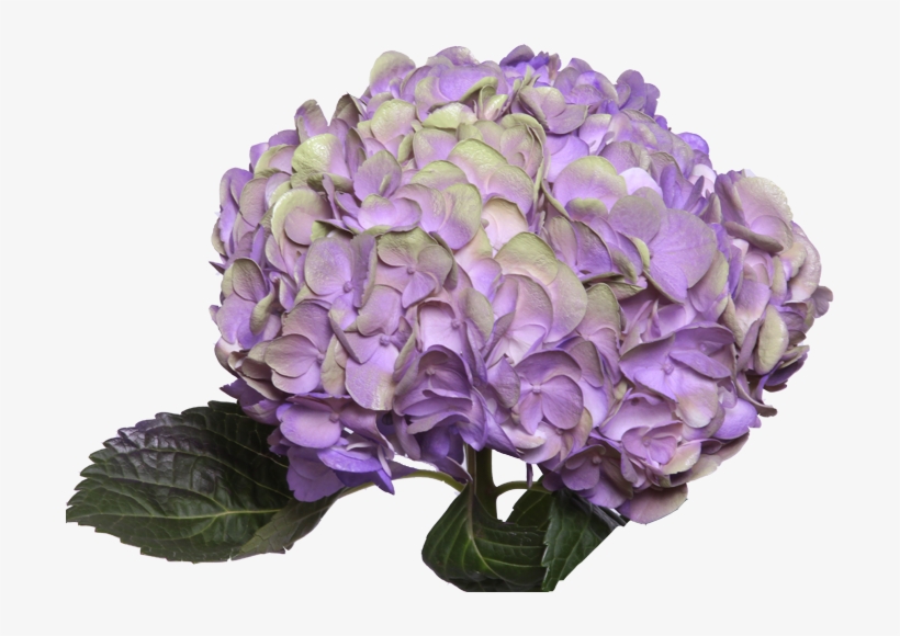 Amathyst Light Purple - Purple, transparent png