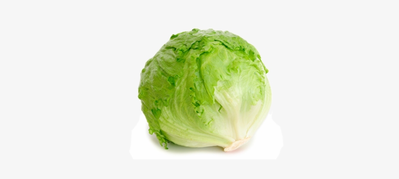 Melon And Baby Artichoke Salad - Head Of Lettuce, transparent png