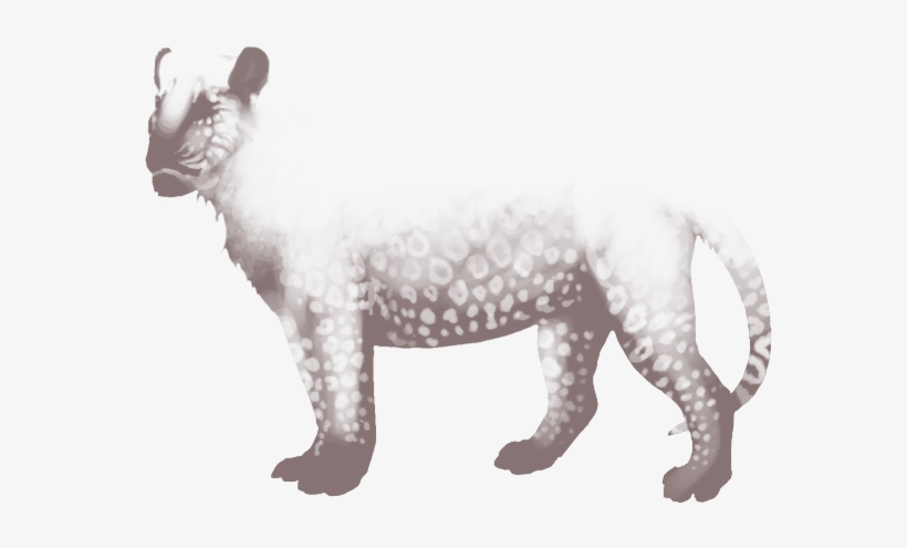 Lion, transparent png