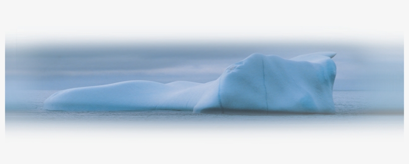 Isotza - Iceberg, transparent png