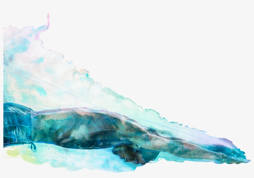 We Provide Comprehensive, Tailor-made Courses And Services - Watercolor Paint, transparent png