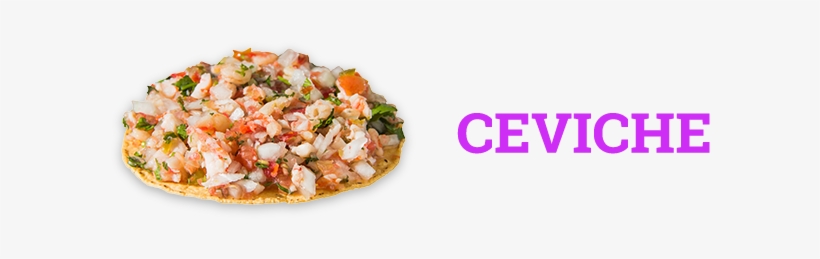 Bacalao - Forever 21 For Alonda Roberts, transparent png