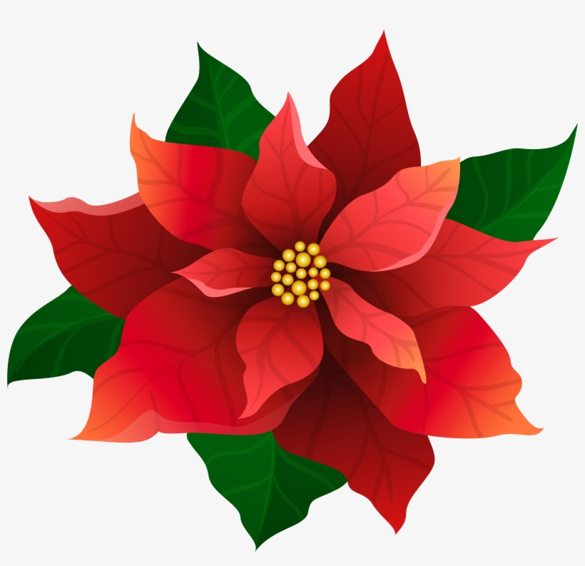 15 Poinsettia Clipart For Free Download On Mbtskoudsalg, transparent png