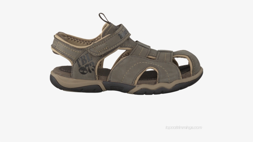 Timberland Taupe Timberland Sandals Oak Bluffs Leather - Taupe Timberland Sandalen Oak Bluffs Leather Fisherman,, transparent png