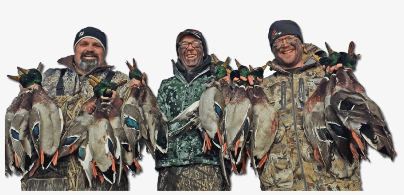 Minnesota Duck Hunting Guides - Minnesota, transparent png