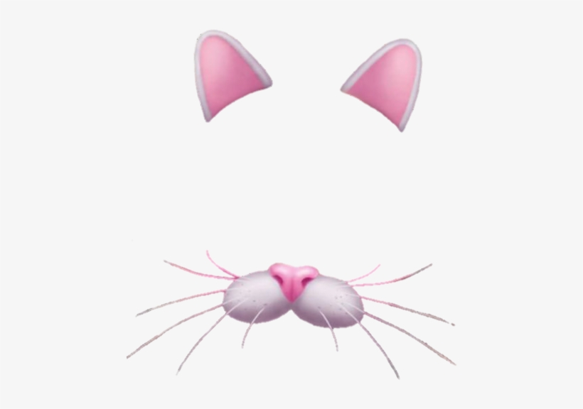 Snapchat, Cat, And Png Image - Snapchat Cat Filter Png, transparent png