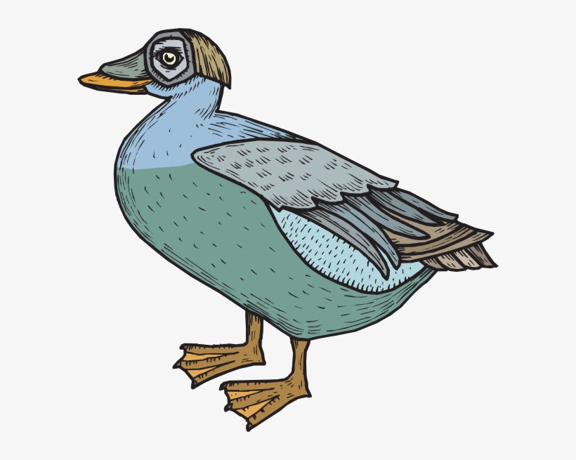 How To Set Use Blue And Green Feathered Duck Svg Vector, transparent png