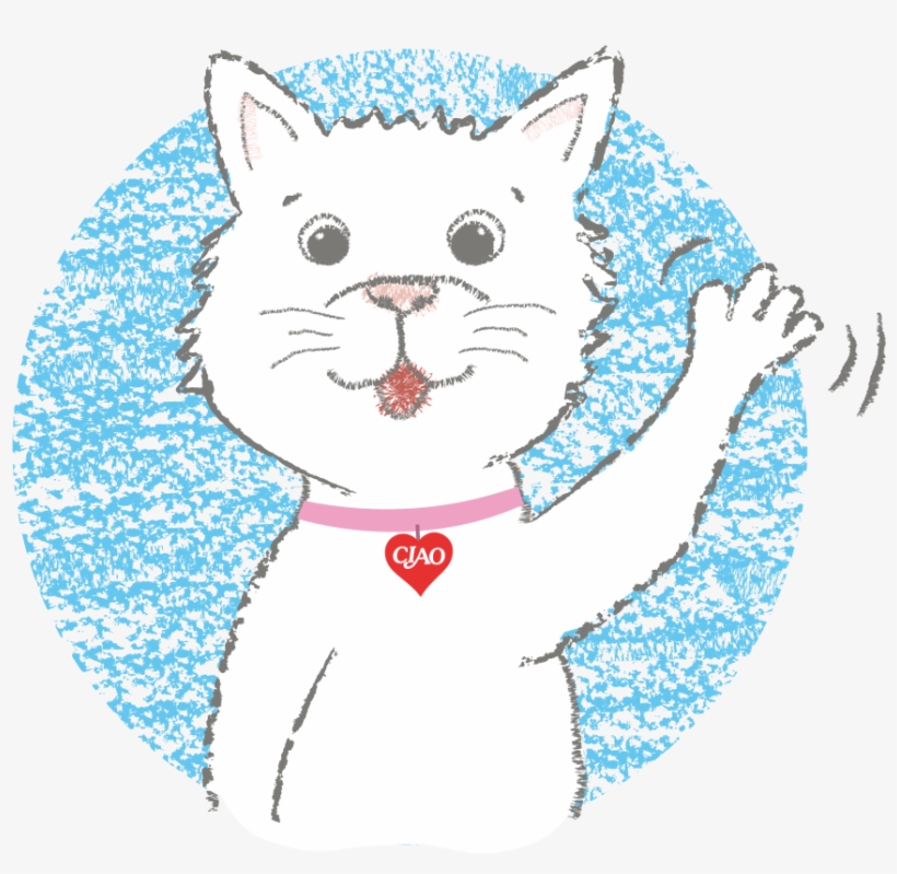 Domestic Short-haired Cat, transparent png