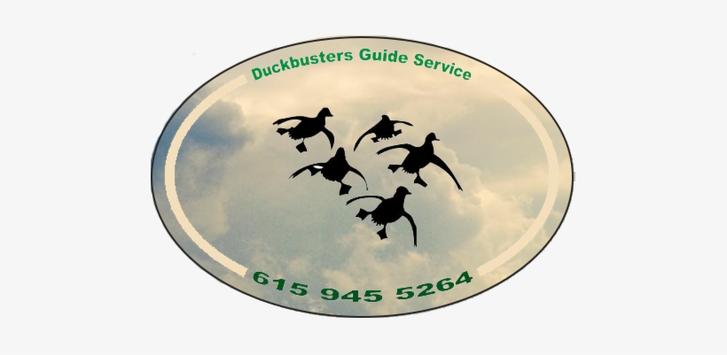 Duck Hunting Guides - Duck Hunting, transparent png