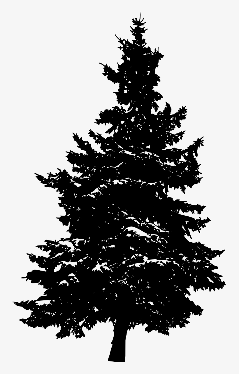 Png File Size - Pine Tree Transparent, transparent png