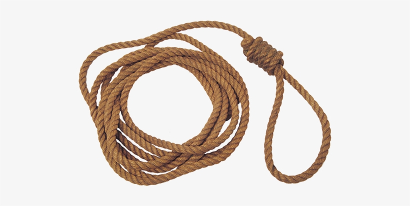 Example - Speaker Wire, transparent png