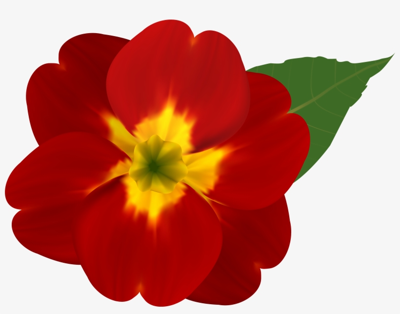 And Yellow Flower Png Image Gallery Yopriceville - Red Flowers With Yellow, transparent png