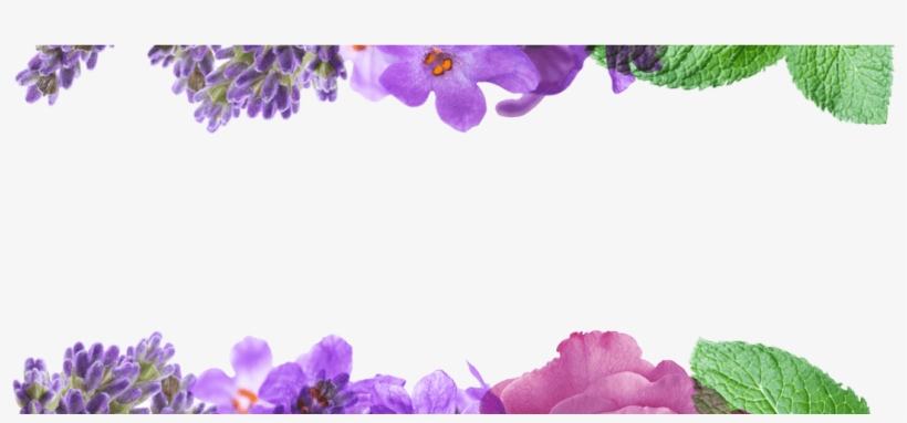Lavender & White Mint - Mint And Lavender Png, transparent png