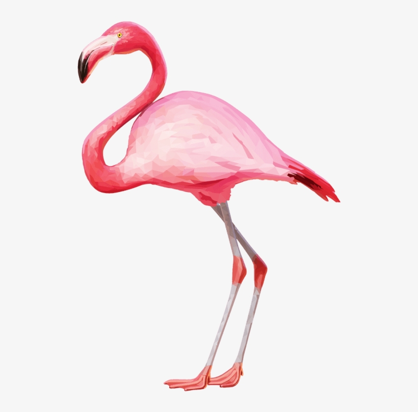 Free Png Flamingo Png Images Transparent - Flamingo Png, transparent png