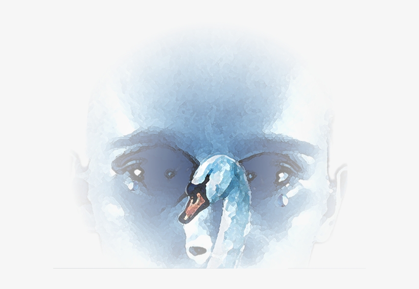 Fionnula - Wisdom, transparent png