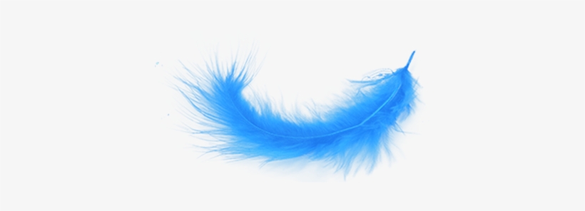 Feather Png, transparent png