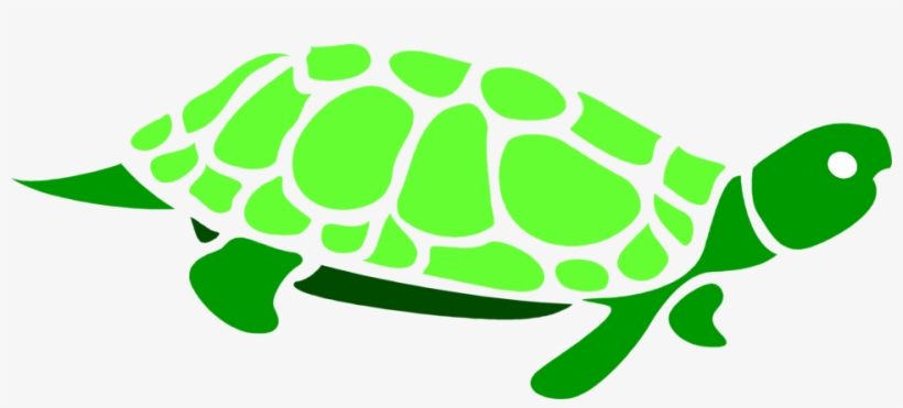 Turtle Clipart Transparent Background - Turtle With Transparent Background, transparent png