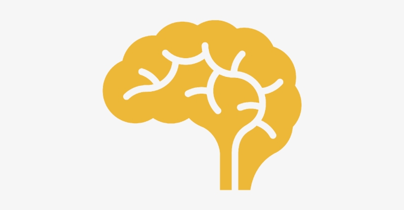 No Circle - Brain - Brady 142465 Neurology 10"h X 7"w (, transparent png