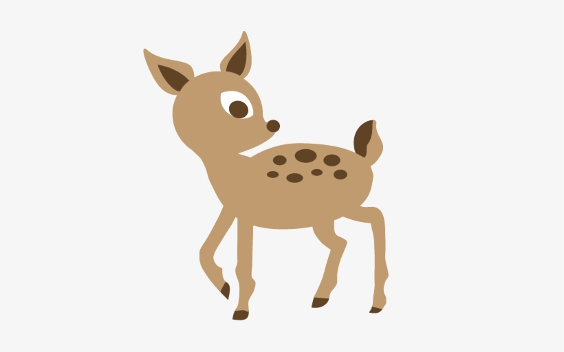 Collection Of High Quality Free - Woodland Animals Clip Art, transparent png