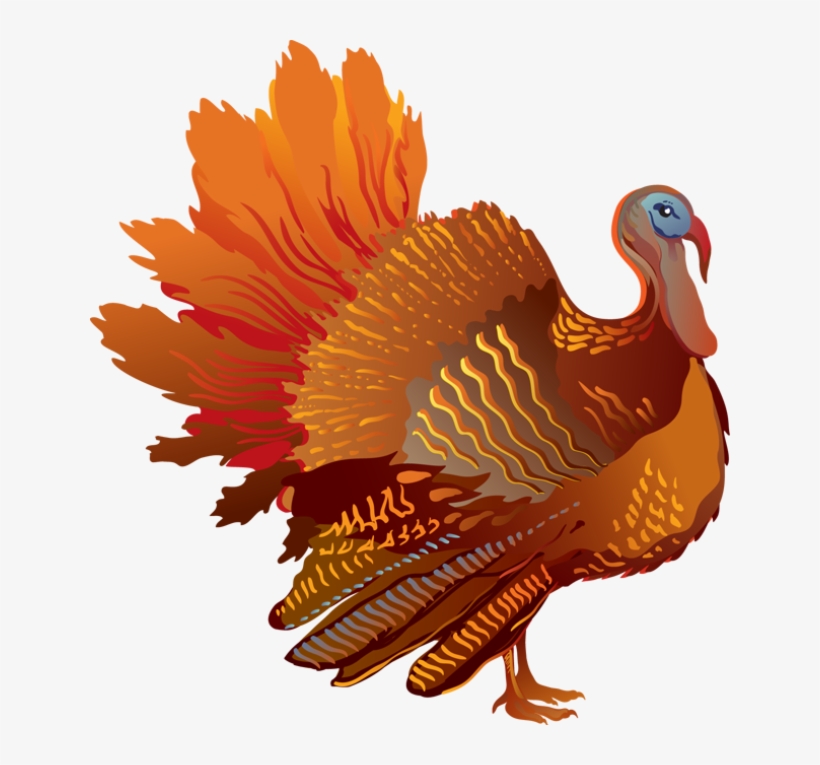 Turkey Clipart Png Clip Stock - Turkey Clipart Transparent Background