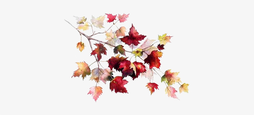 Load 10 More Imagesgrid View - Autumn, transparent png