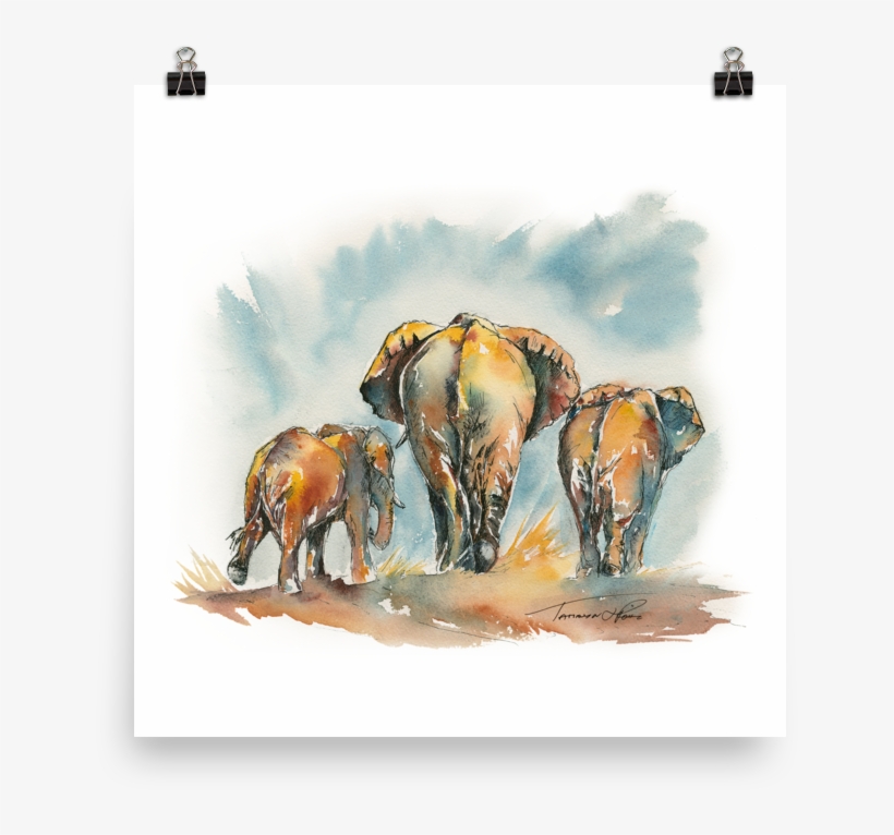 Search - Bison, transparent png