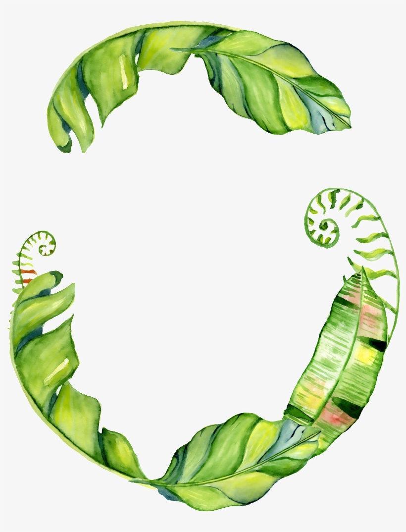 This Graphics Is Hand Painted Three Leaves Png Transparent - Leaf, transparent png