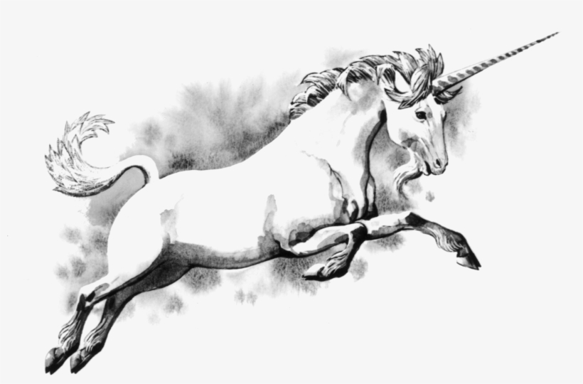 Unicorn - Unicorn Scotland, transparent png