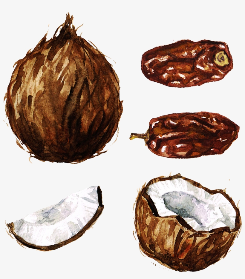 Coconut Watercolor Painting Clip Art - Coconut Watercolor Png, transparent png