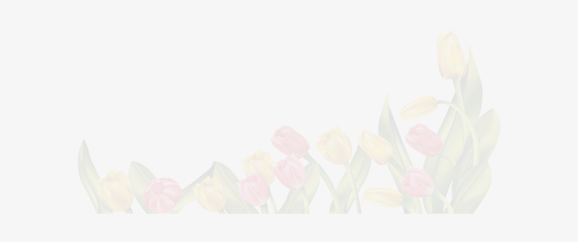 Background Coupon Spring - Spring, transparent png