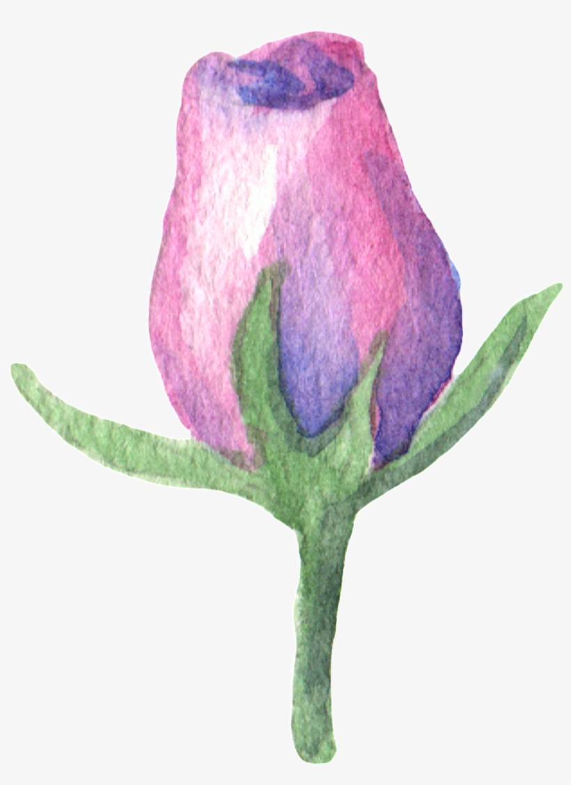 Purple Scent Bouquet Transparent Decorative - Rose, transparent png
