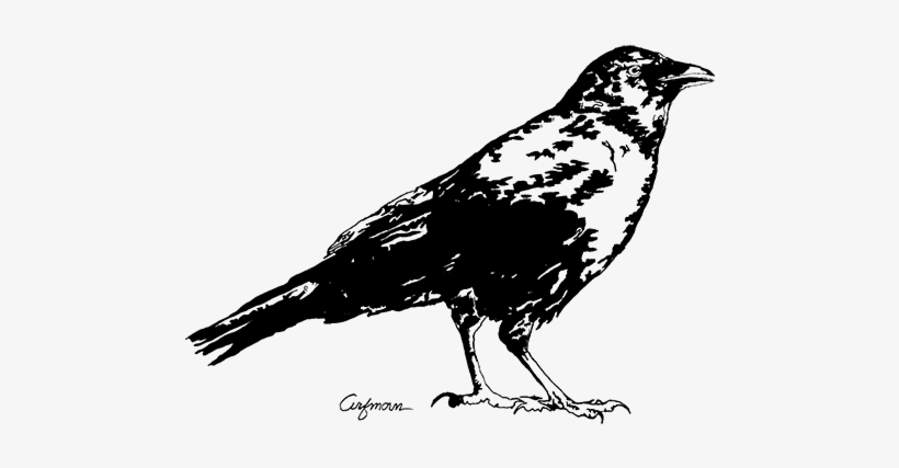 Statement - Crow, transparent png