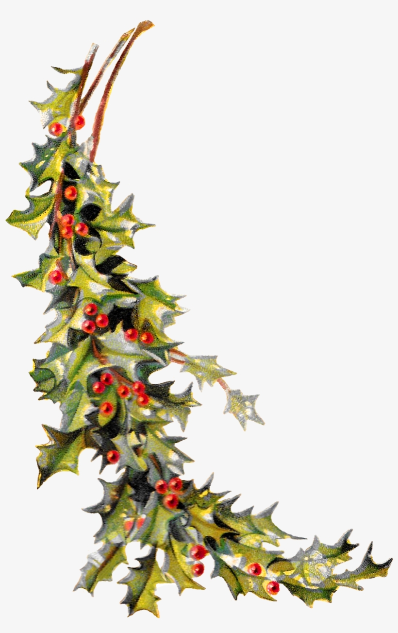 Jpg Freeuse Christmas Clipart Images, transparent png